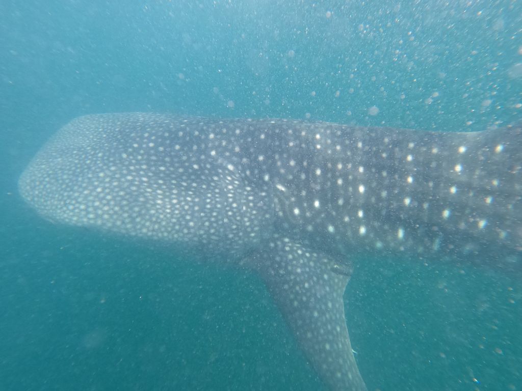 c0b8cd43-e6ab-46a7-b7fe-398735f28389