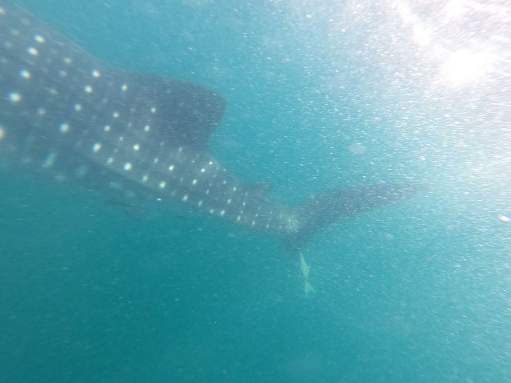 c0b8cd43-e6ab-46a7-b7fe-398735f28389