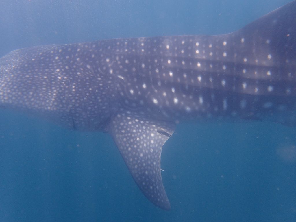 c0b8cd43-e6ab-46a7-b7fe-398735f28389