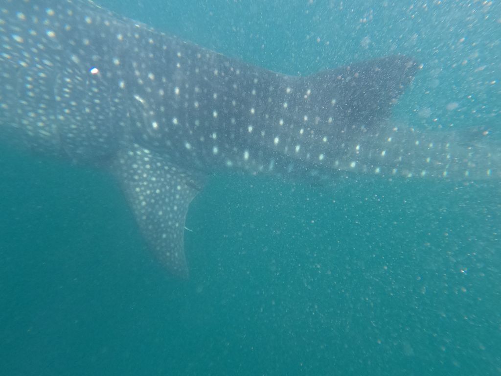 c0b8cd43-e6ab-46a7-b7fe-398735f28389