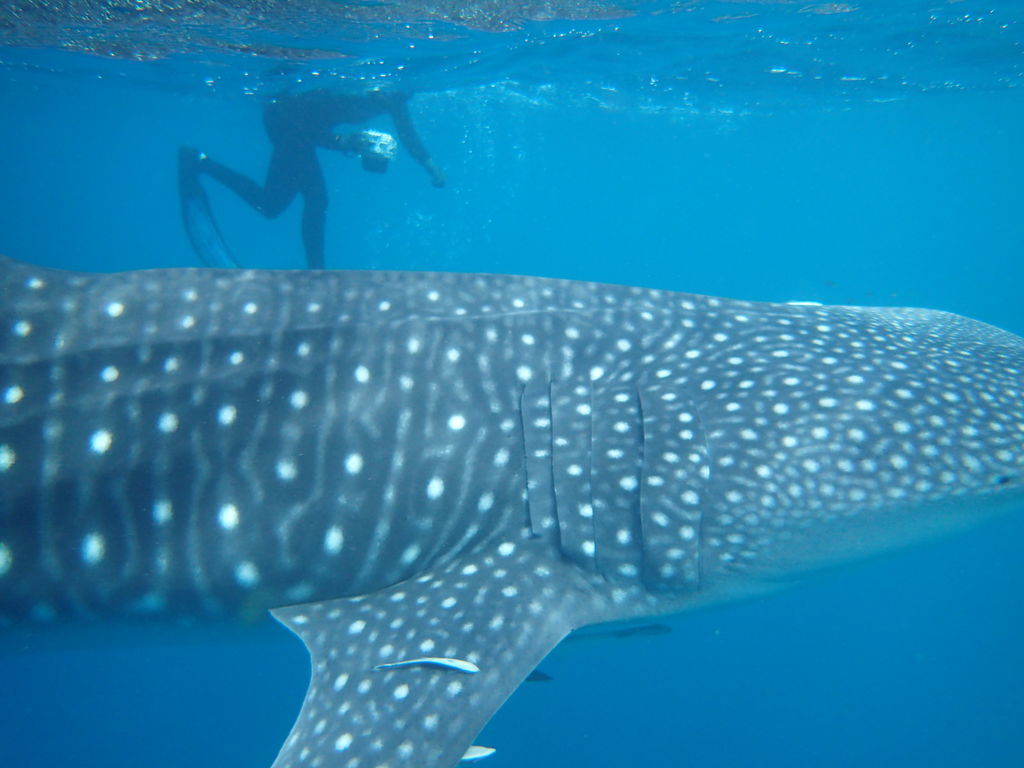 484d6beb-f0ad-40d2-927a-267f6e089635