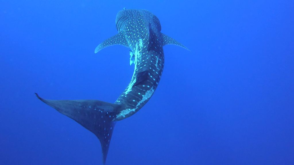 973dd312-fa6b-4b4a-85e3-9a78f5041143