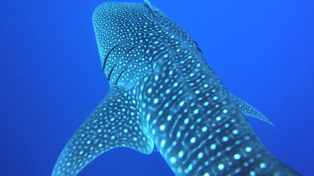 973dd312-fa6b-4b4a-85e3-9a78f5041143