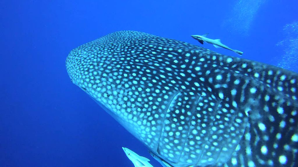 973dd312-fa6b-4b4a-85e3-9a78f5041143