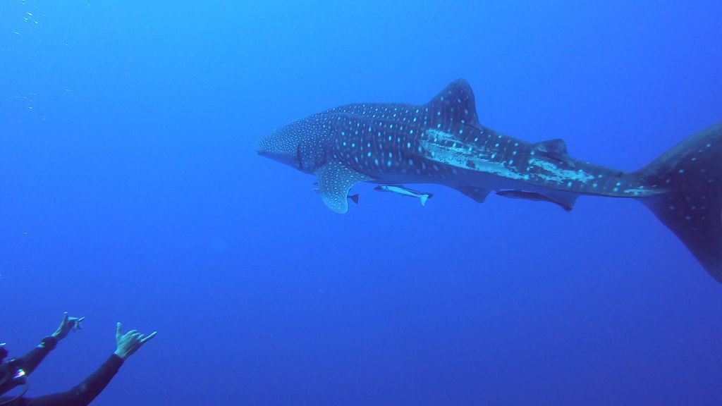 973dd312-fa6b-4b4a-85e3-9a78f5041143