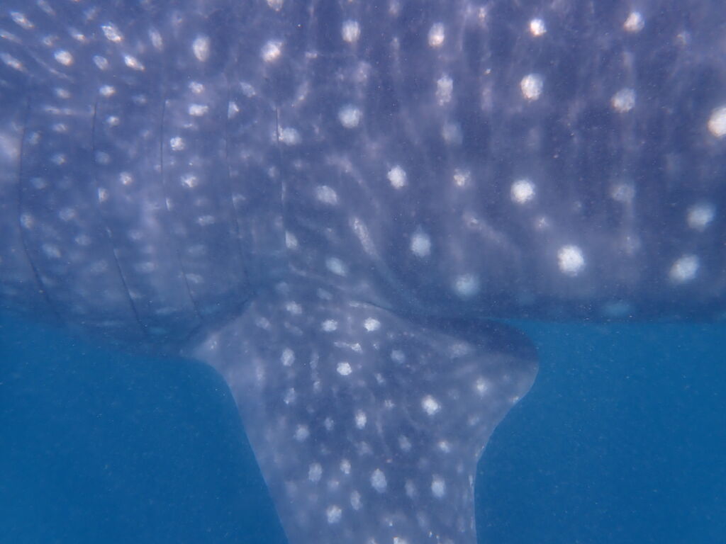 b3afd719-df44-40e2-94d0-94d669b7ffb0