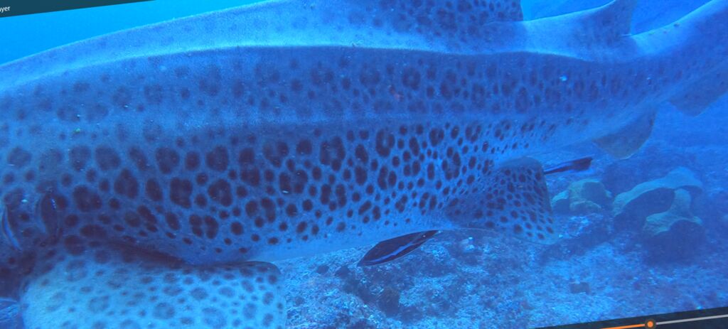 9eb2221a-709e-43d0-81b9-3ae6fc30a12d