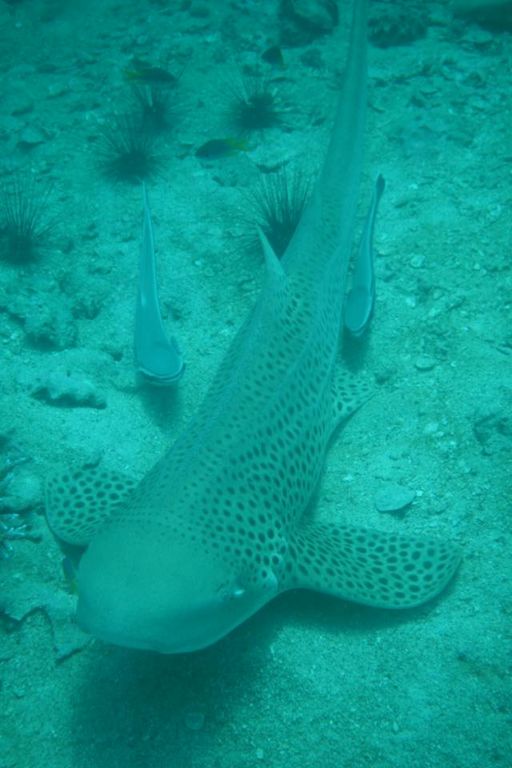 cc1f1bf4-2018-4e6d-86e5-4e47fde1a16a