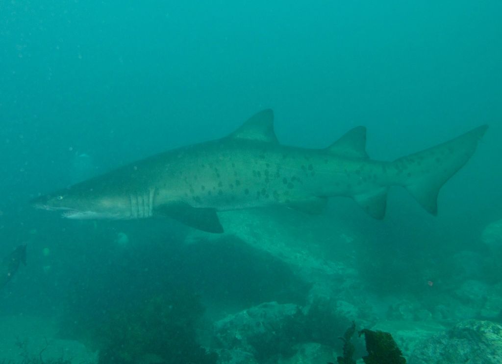 ee267511-f066-49a7-9a6a-b1a8a9e7ed9c