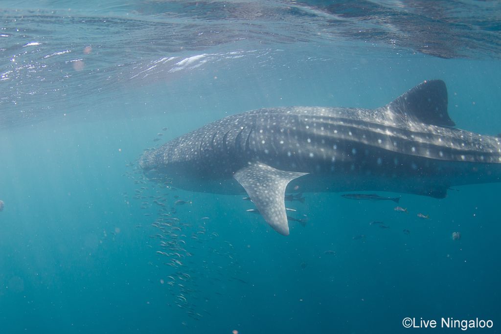 cda510ff-c756-4676-a262-8e6ccb0c0976