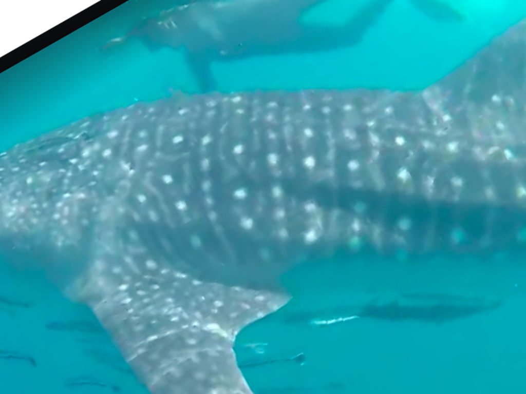 6db7fee1-4ff5-48ef-b7d0-cf6e4ef3e6c5