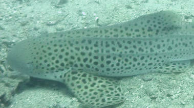 c5bd14f7-5b85-4950-8a49-c5b90e2d1da3