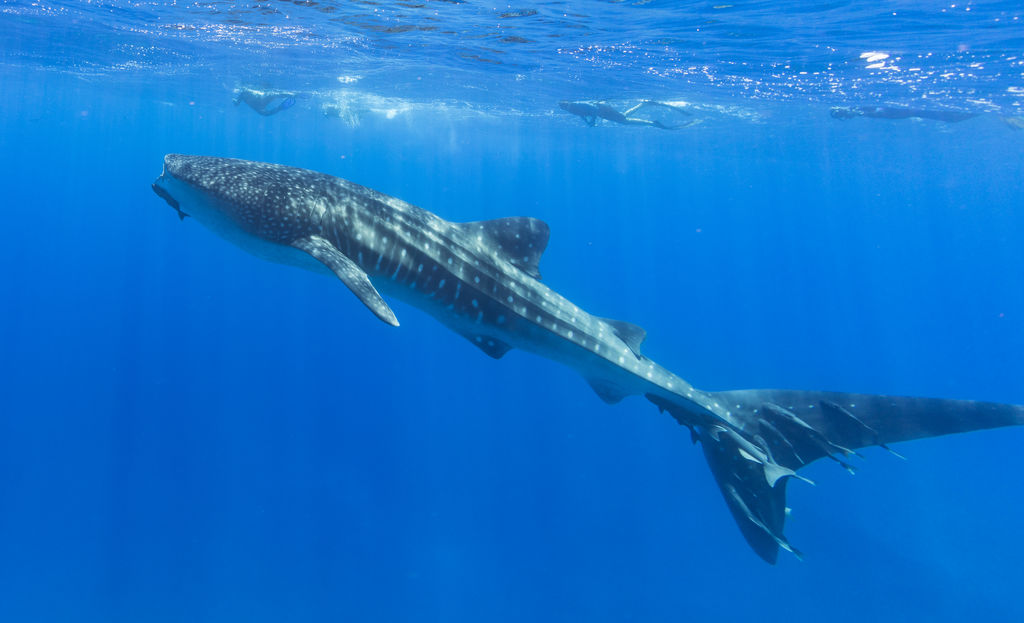 9c684de2-fcb2-4167-8d16-9707bf6e2911