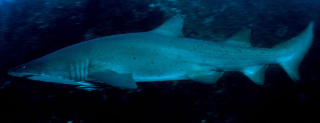 d471be27-fb68-4134-a53a-50ad2a1cbb56