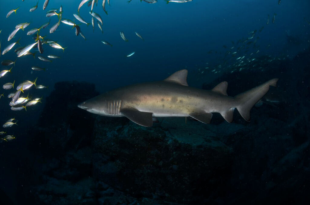 ab7b1a84-eb0d-4309-ae61-e492816235b2