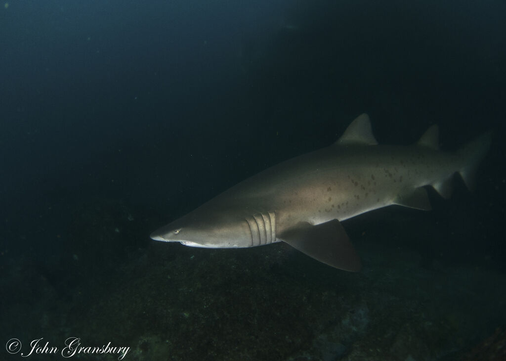 e8a2397a-5ec6-4a0e-a6b0-d43706b01738