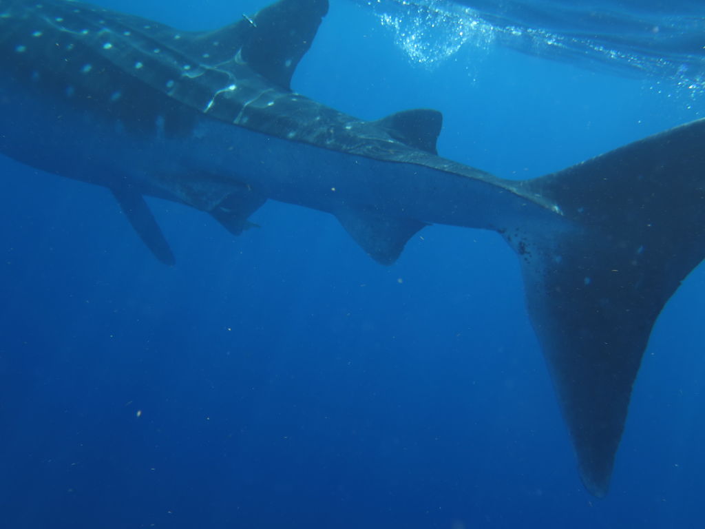 34e85dbe-c286-4534-9163-40c39939316c