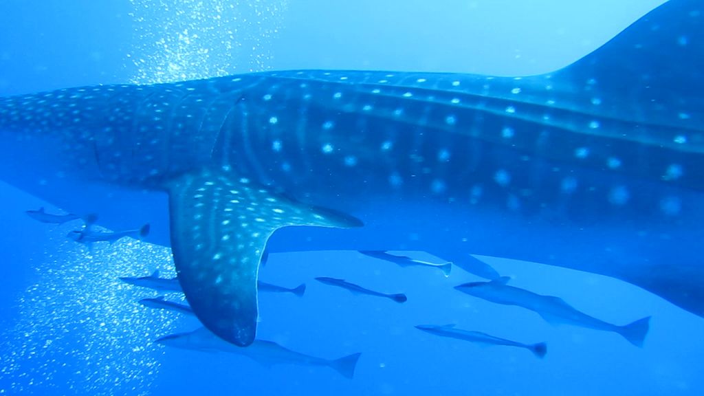 61429b3f-8107-4a7f-8623-e970050eebb9