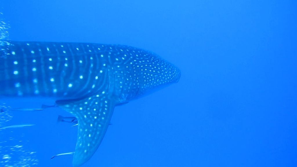 61429b3f-8107-4a7f-8623-e970050eebb9