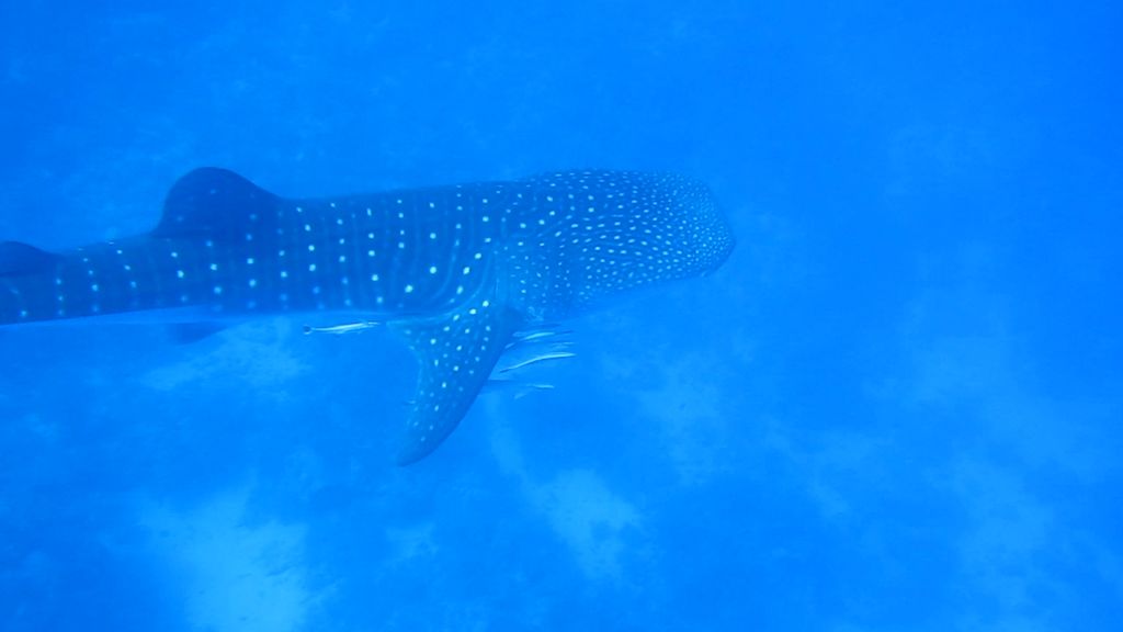 61429b3f-8107-4a7f-8623-e970050eebb9