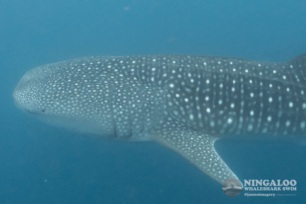 d8aaec8d-94c7-4510-9d10-73c8bebb152f