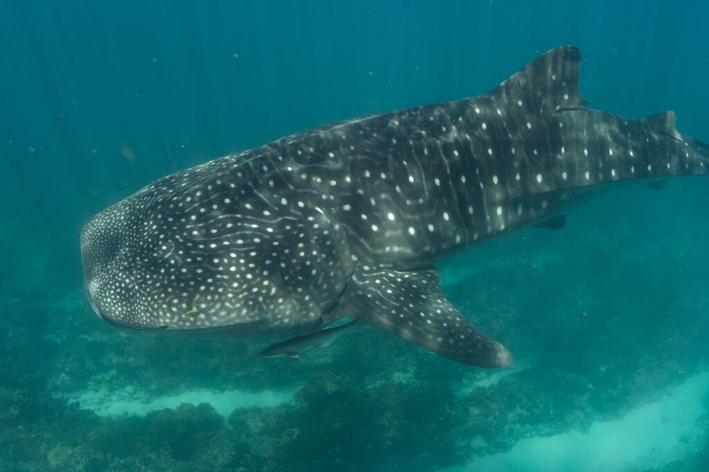 37821c73-c601-4d3f-a836-dbd60d7927c3