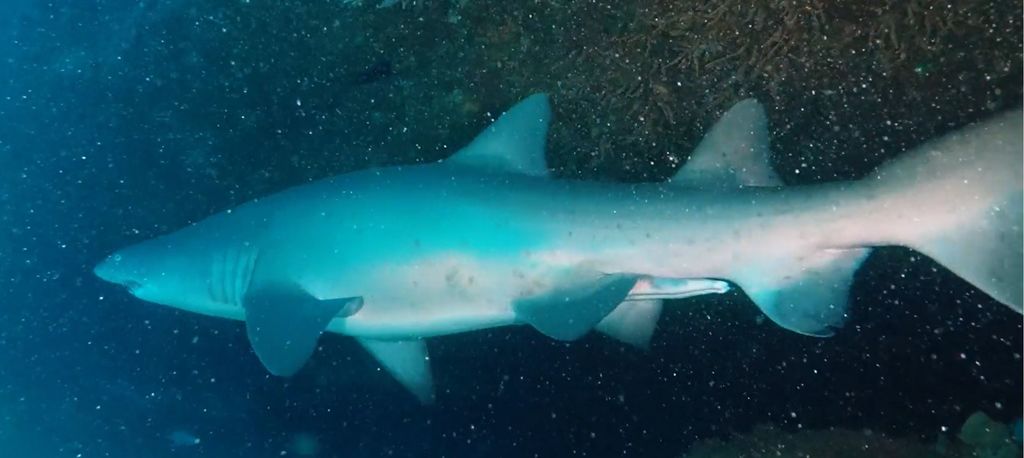 94ee96bb-cfaf-441f-b9a4-bd4836c28f25