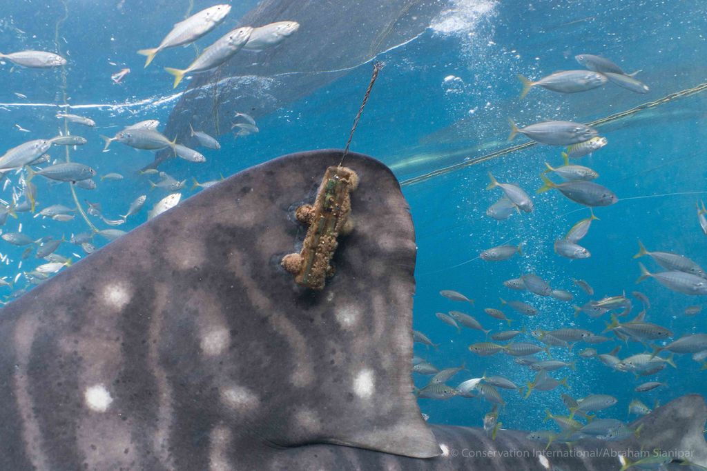 5456134e-aafe-44c0-b8fa-85a4f131f418