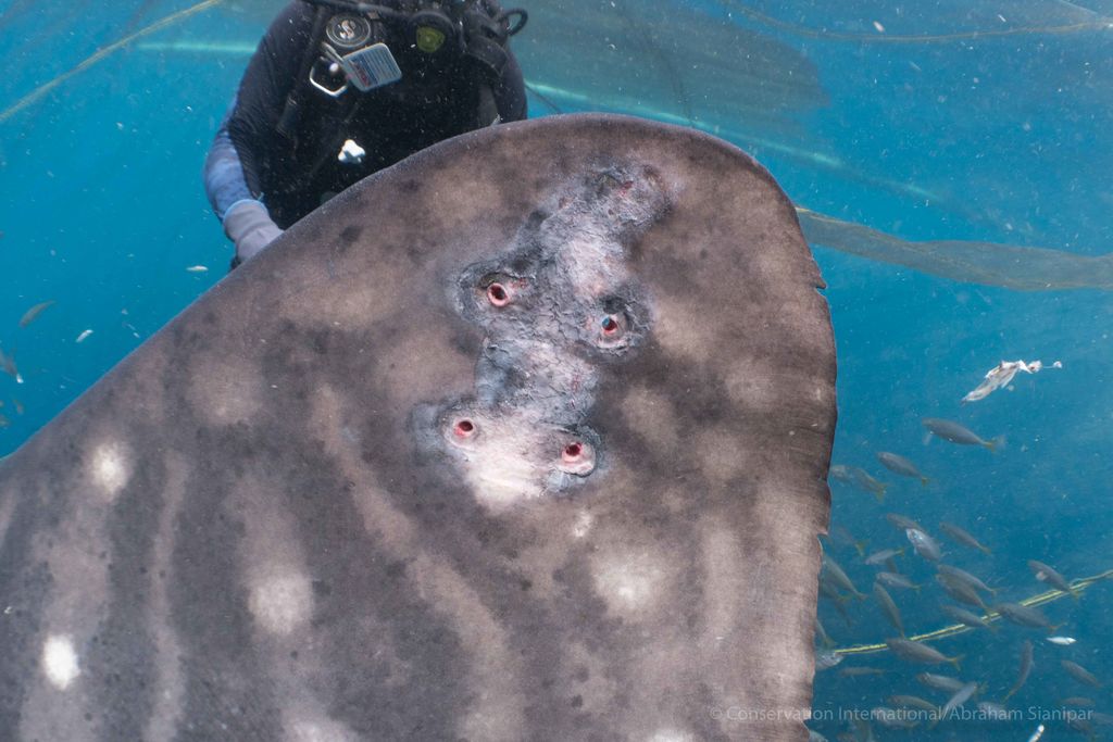 5456134e-aafe-44c0-b8fa-85a4f131f418