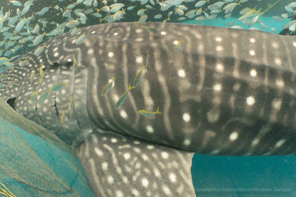 5456134e-aafe-44c0-b8fa-85a4f131f418