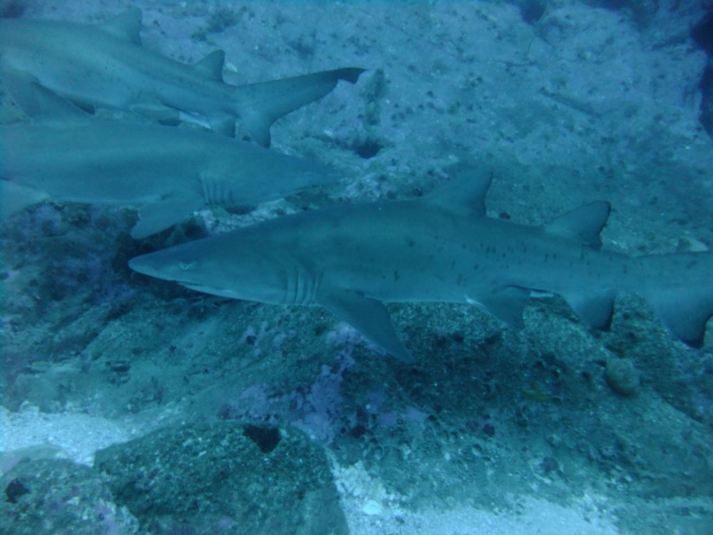 8428b3e3-950e-4fa5-b1cf-e896c50f5d49