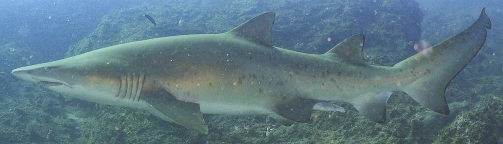 03c467fe-6e05-4247-bedb-c5055a4ab551