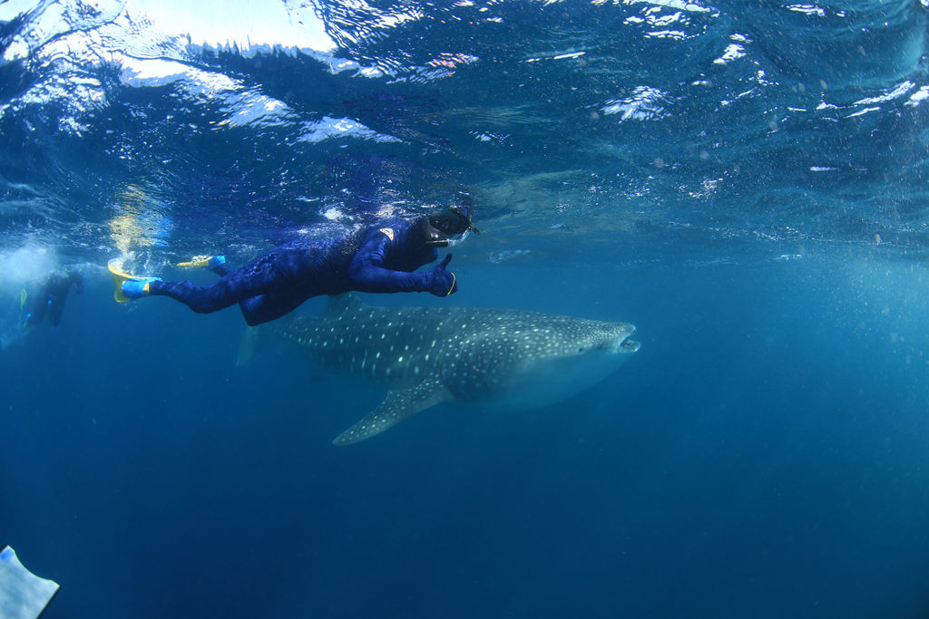 cf5dc2be-91ca-4bc4-84c5-747ab44bae5c