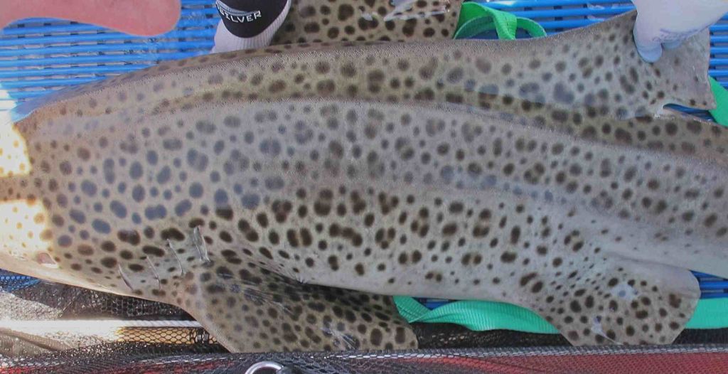 f38f9b10-f3c9-4b2a-b069-693423b48b98