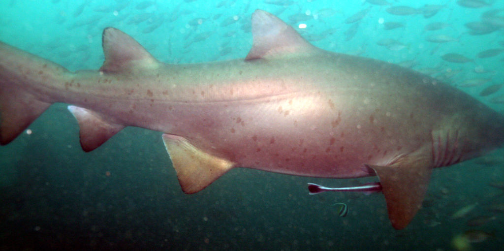 3fd3d7fb-8bba-4d2f-8e66-4daba49fab33