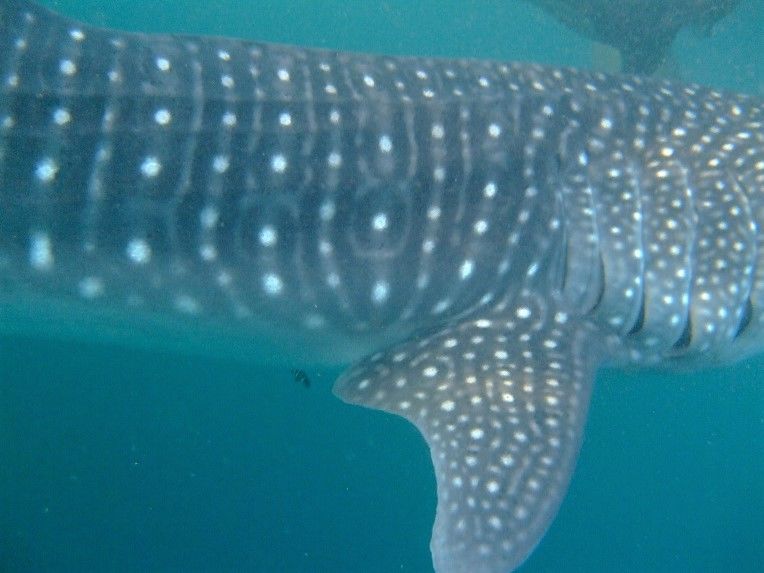 ed566f87-d33d-4c44-8338-6a515c3b2b97