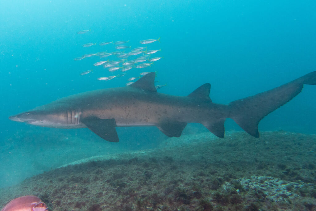 f48ad86d-aa1a-4dcc-9733-3f68a7c54b78