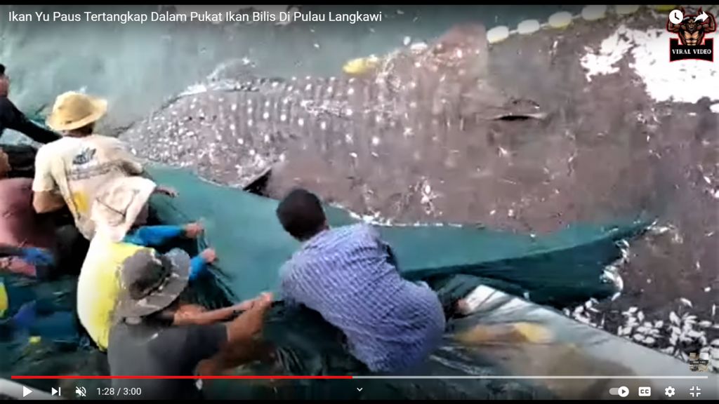 7c337cf5-04bb-4f4f-b83e-d1a95d9acec1