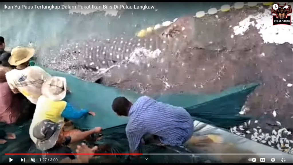 7c337cf5-04bb-4f4f-b83e-d1a95d9acec1