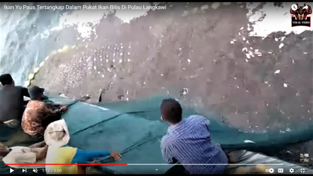 7c337cf5-04bb-4f4f-b83e-d1a95d9acec1