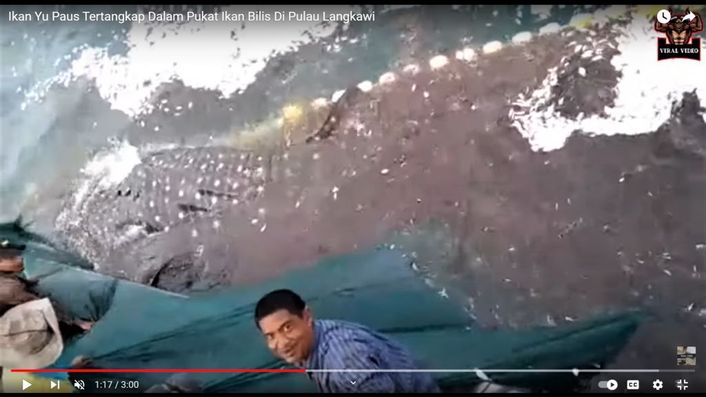 7c337cf5-04bb-4f4f-b83e-d1a95d9acec1