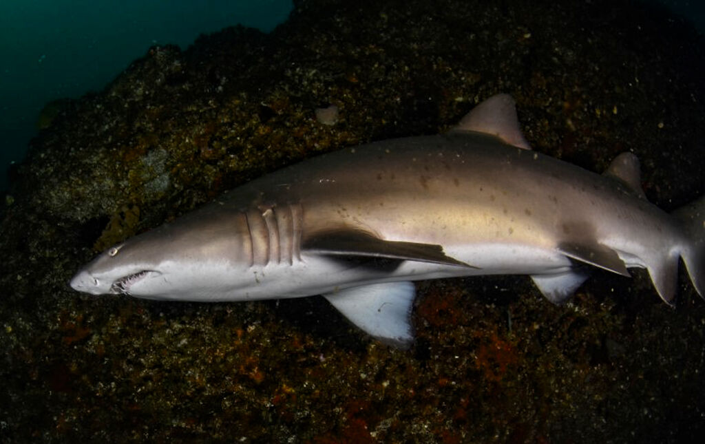 1e640785-6ce6-4ea2-837c-7dc87ed9f21e