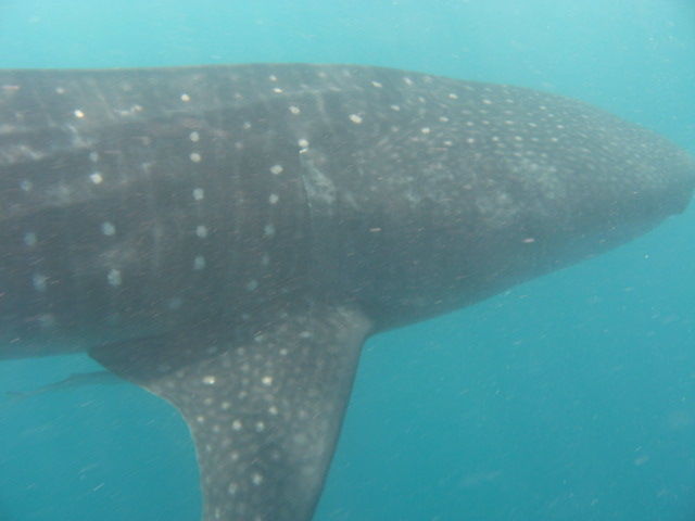 6b9e864a-eed4-460e-8c88-b632c2147ea8