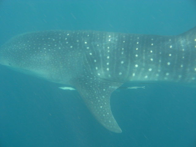 6b9e864a-eed4-460e-8c88-b632c2147ea8