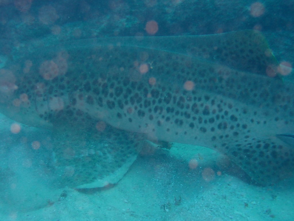 757db01b-343e-4d77-ae87-f54fcfd2884c