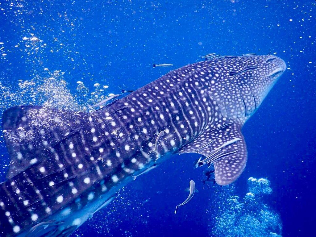 279f40d0-888c-4a85-890d-2dbad404996c