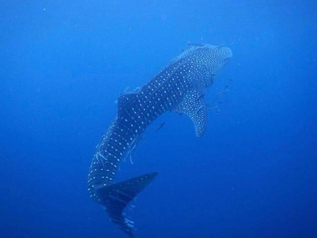 279f40d0-888c-4a85-890d-2dbad404996c