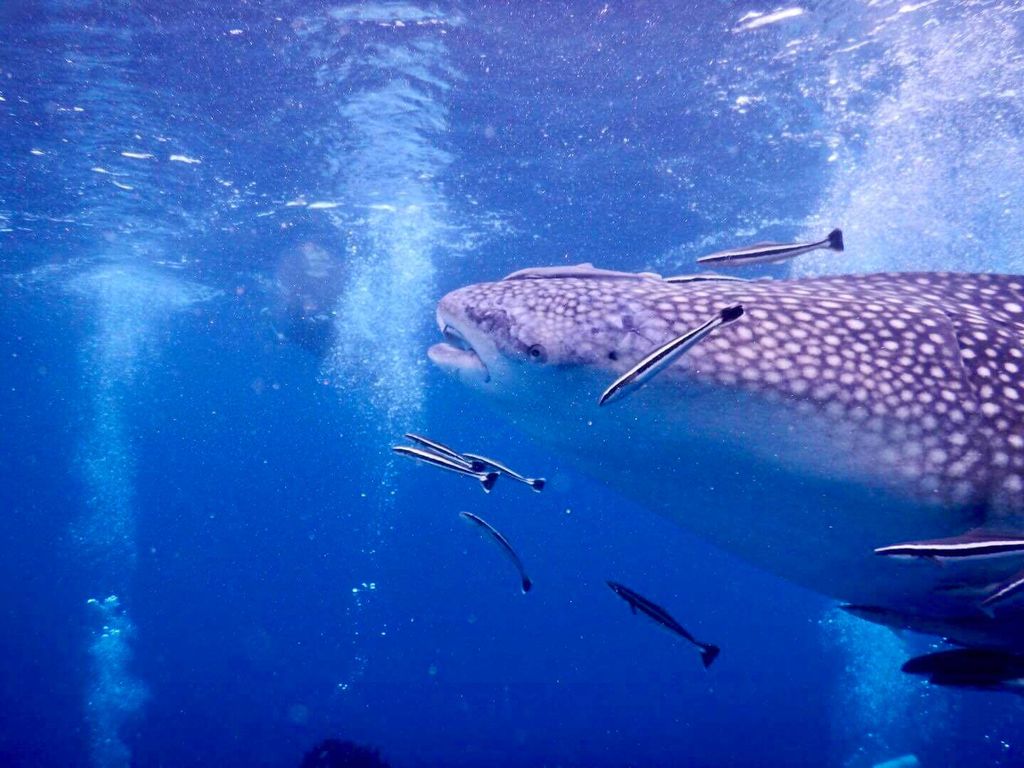 279f40d0-888c-4a85-890d-2dbad404996c