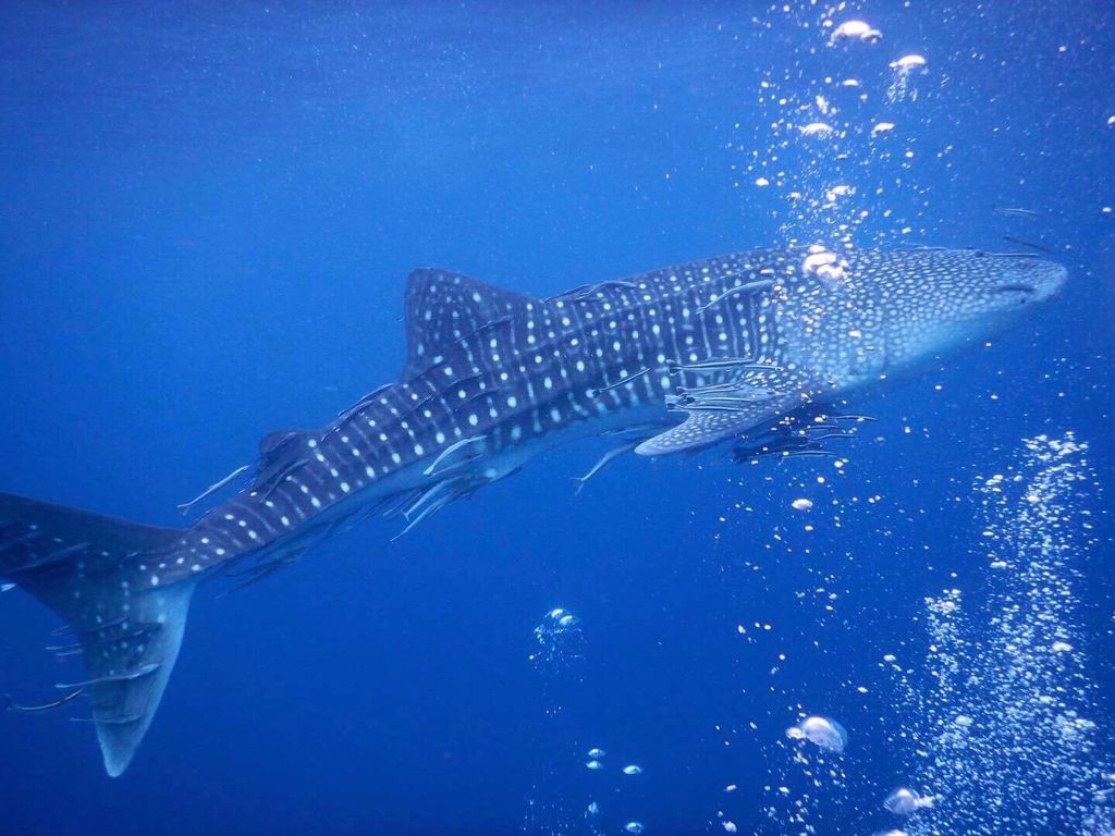 279f40d0-888c-4a85-890d-2dbad404996c