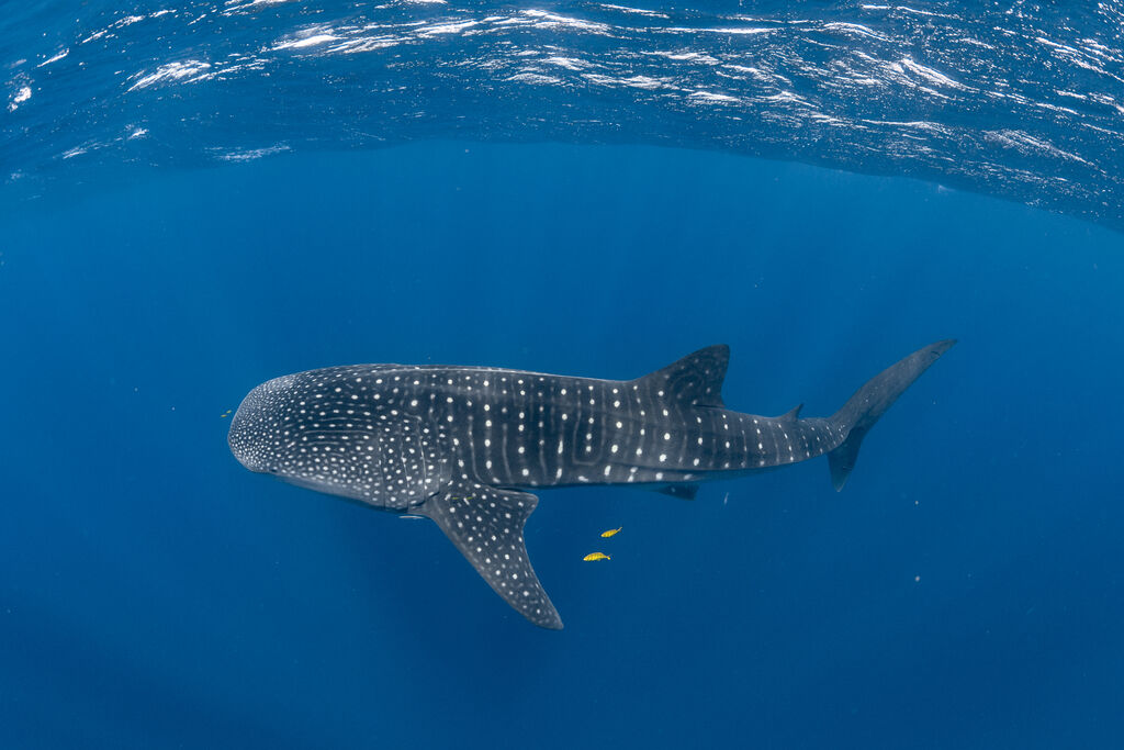 0e79fdc0-a790-48fb-984d-3405b0b74998